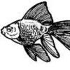 rubiashmubia